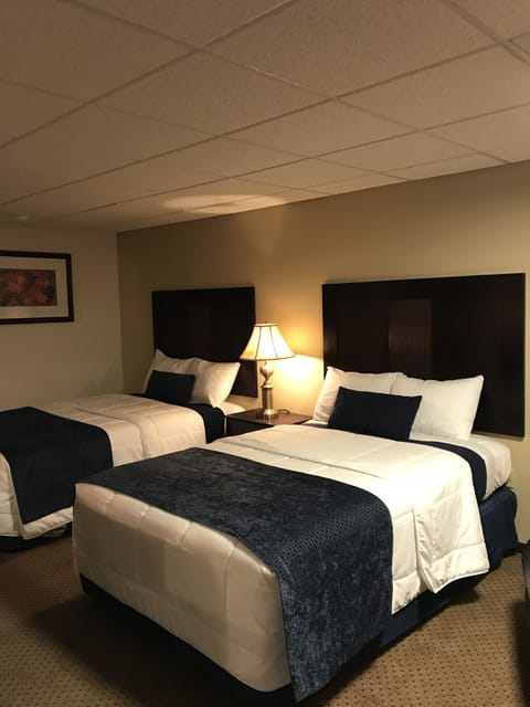 Senior Room, Accessible, Refrigerator & Microwave | Desk, free WiFi, bed sheets