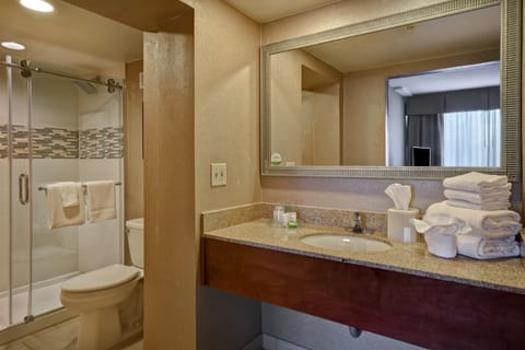 Suite, 1 King Bed with Sofa bed | Bathroom | Free toiletries, hair dryer, towels, soap