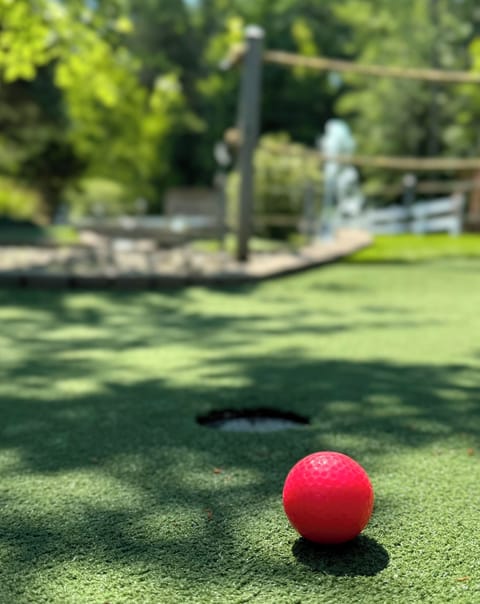 Mini-golf