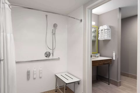 Room, 1 King Bed, Accessible (Roll-In Shower) | Bathroom shower