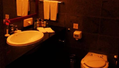 Double Room | Bathroom | Shower, free toiletries, hair dryer, towels