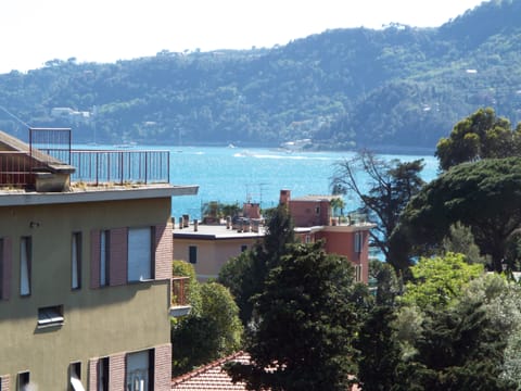 Superior Room, Balcony, Bay View | View from room