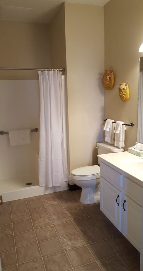 Suite, 2 Bedrooms | Bathroom | Shower, free toiletries, hair dryer, towels