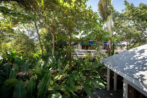 Jungle House Tree Top | Terrace/patio