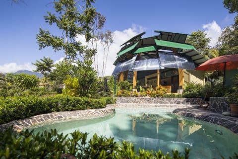 Outdoor pool, pool umbrellas