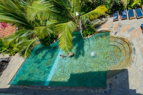 Outdoor pool, pool umbrellas, sun loungers