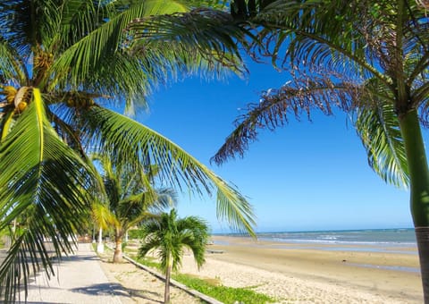 Beach nearby, white sand