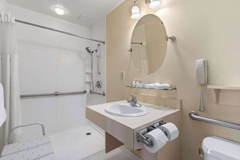 1 Double Bed, Accessible, Roll-In Shower | Bathroom | Shower, free toiletries, hair dryer, towels