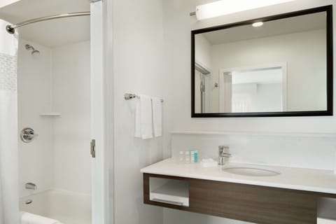 Studio Suite, 1 King Bed, Non Smoking, Refrigerator & Microwave (Wet Bar) | Bathroom shower