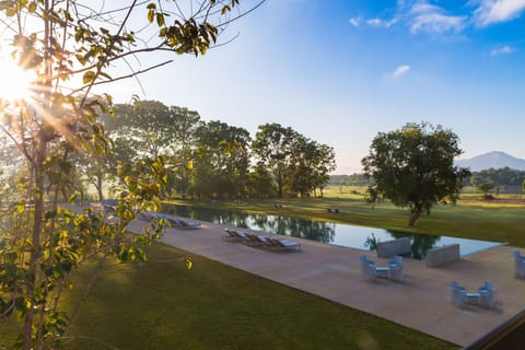 Outdoor pool, sun loungers