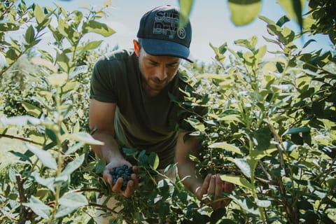Lunch and dinner served, local cuisine