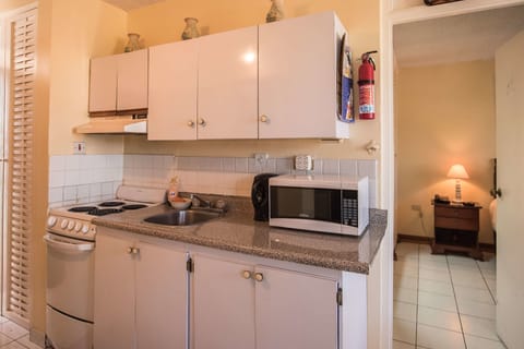 Comfort Apartment, 1 Bedroom | Private kitchen | Fridge, microwave, oven, stovetop