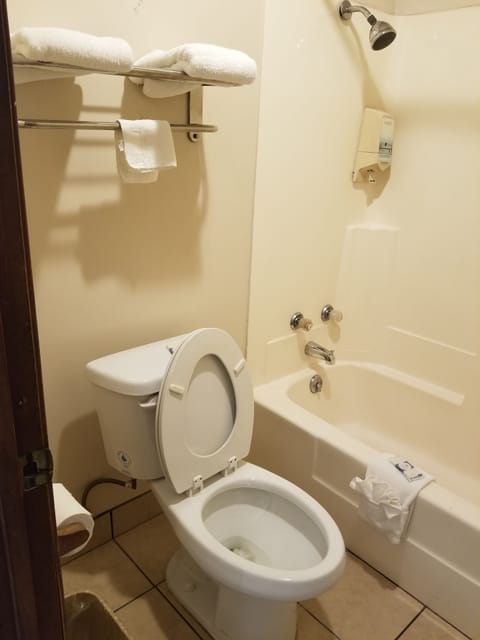 Combined shower/tub, free toiletries, hair dryer, towels