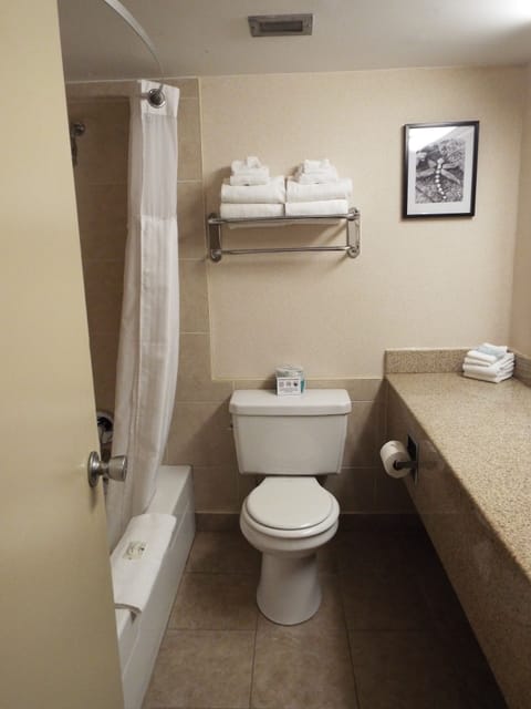 Standard Room, 2 Queen Beds, Non Smoking | Bathroom | Hair dryer, towels