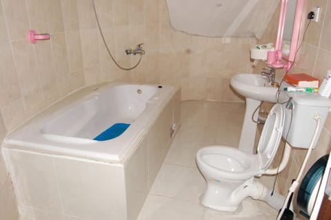 Combined shower/tub, free toiletries, hair dryer, towels