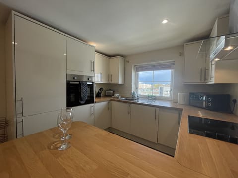 Penthouse, 2 Bedrooms, Balcony | Private kitchen | Fridge, microwave, oven, stovetop