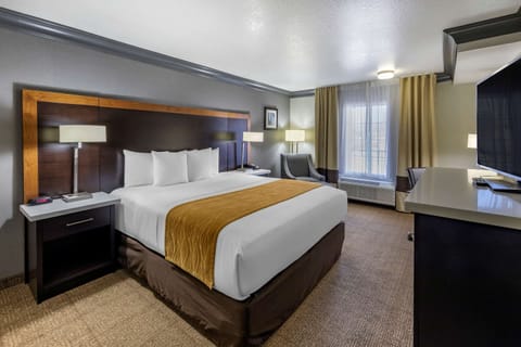 Standard Room, 1 King Bed, Non Smoking | Premium bedding, individually furnished, desk, laptop workspace
