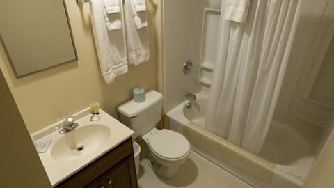 Basic Double Room Single Use, 1 Double Bed (Room 5) | Bathroom | Combined shower/tub, free toiletries, hair dryer, towels