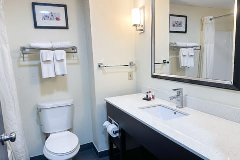 Suite, 1 Bedroom, Jetted Tub | Bathroom | Free toiletries, towels, soap, shampoo