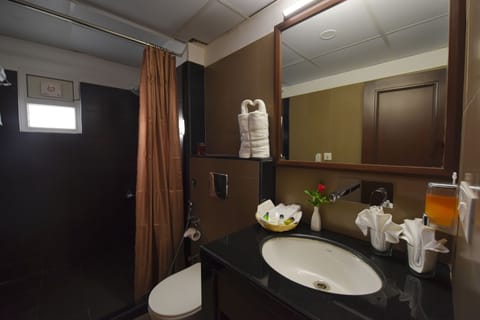 Deluxe Double or Twin Room, 1 Bedroom | Bathroom | Shower, free toiletries, hair dryer, towels