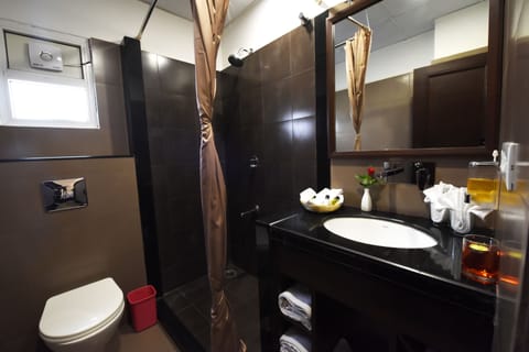 Premium Double or Twin Room, 1 Bedroom | Bathroom | Shower, free toiletries, hair dryer, towels