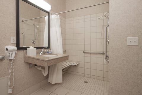 Room, 1 King Bed | Bathroom | Combined shower/tub, designer toiletries, hair dryer, towels