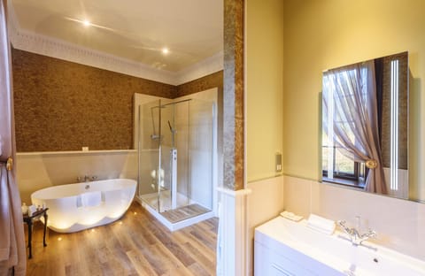 Deluxe Double Room | Bathroom | Free toiletries, hair dryer, bathrobes, slippers