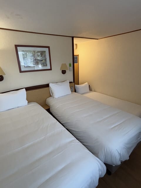 Standard Room - 2 Single Beds 1 Junior Bed up to 10 years | Premium bedding, desk, blackout drapes, iron/ironing board