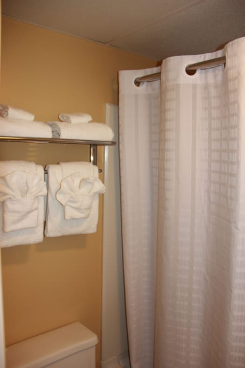 Deluxe Room | Bathroom | Combined shower/tub, towels