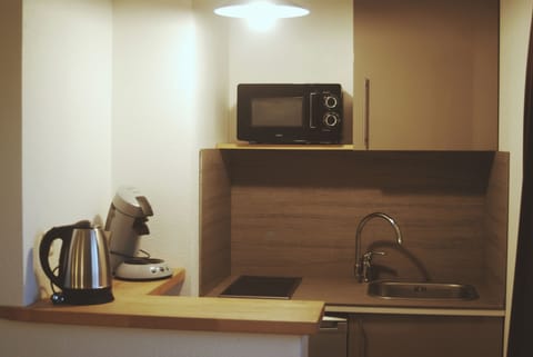 Economy Studio | Private kitchen | Fridge, microwave, oven, stovetop