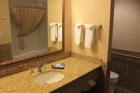 Family Suite | Bathroom | Free toiletries, hair dryer, towels, soap