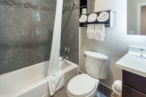 Combined shower/tub, free toiletries, hair dryer, towels