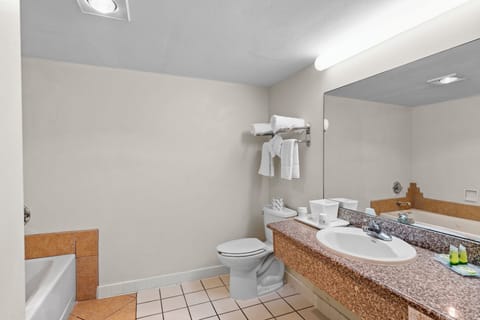 Executive Suite, 1 King Bed, Non Smoking | Bathroom | Free toiletries, hair dryer, towels