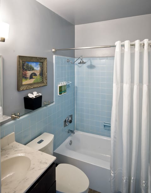 Combined shower/tub, hair dryer, towels