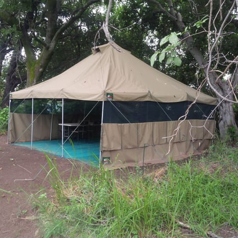 Tent