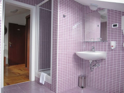 Double Room (Attic) | Bathroom | Shower, hair dryer, towels