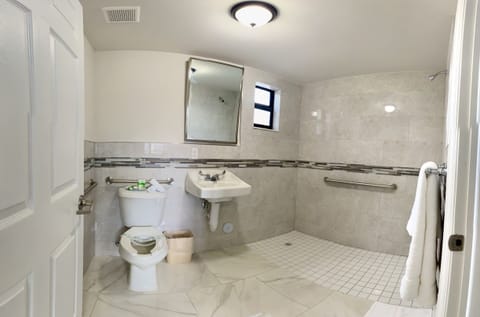 Deluxe Room | Bathroom | Free toiletries, towels