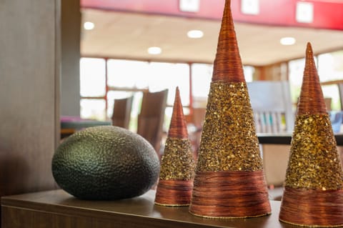 103-cm flat-screen TV with satellite channels, TV