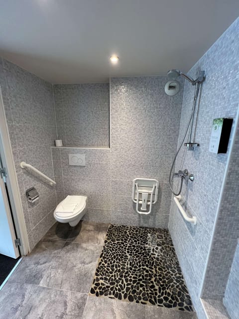 Combined shower/tub, eco-friendly toiletries, hair dryer, towels