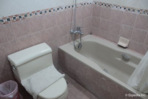 Executive Room | Bathroom | Free toiletries, towels