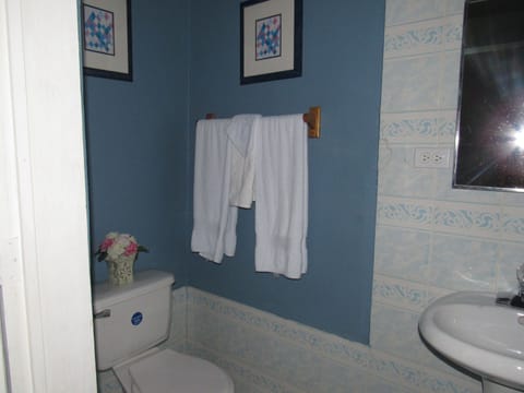 Standard Room | Bathroom | Shower, free toiletries, hair dryer, towels