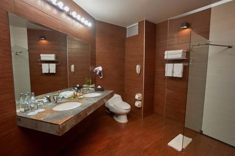 Suite, 1 King Bed, Lake View | Bathroom | Combined shower/tub, rainfall showerhead, free toiletries, hair dryer