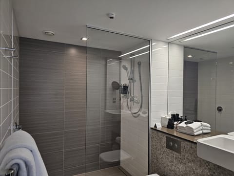 Premium Room | Bathroom | Free toiletries, hair dryer, towels