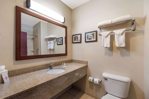 Suite, 1 King Bed with Sofa bed, Non Smoking | Bathroom | Combined shower/tub, hair dryer, towels