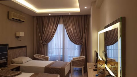 Standard Double or Twin Room | Minibar, free WiFi