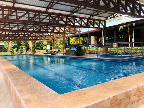 Indoor pool, sun loungers