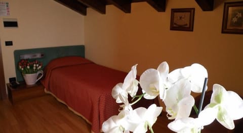 Single Room | Minibar, in-room safe, desk, cribs/infant beds