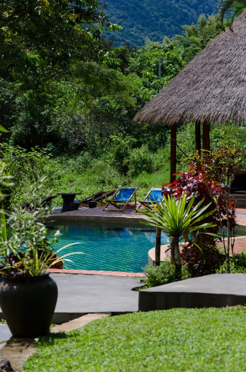 Outdoor pool, sun loungers