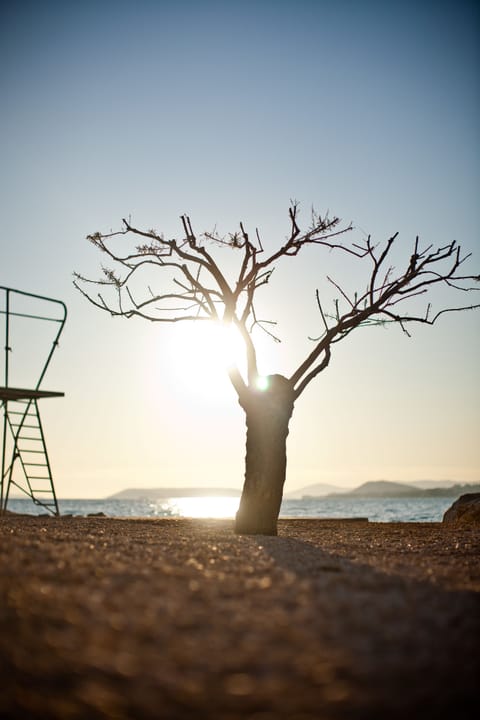 Private beach, sun loungers, beach umbrellas, beach towels