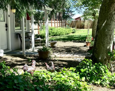 Comfort Cottage, 1 Bedroom | Terrace/patio